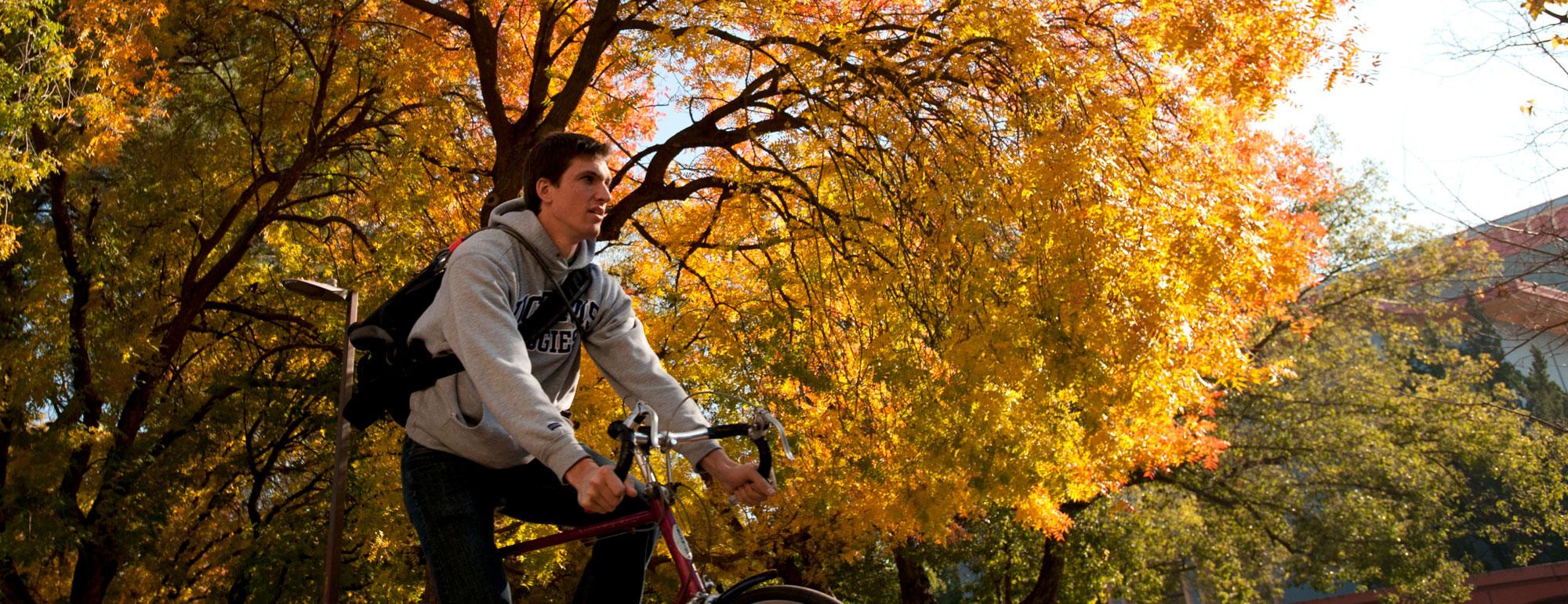 A male student rides his bicycle under the Fall foliage on the ֱ campus