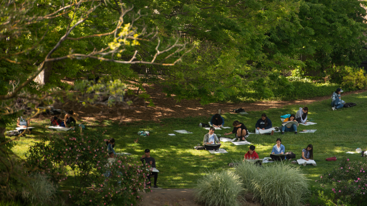 students studying under the trees in the ֱ Arboretum