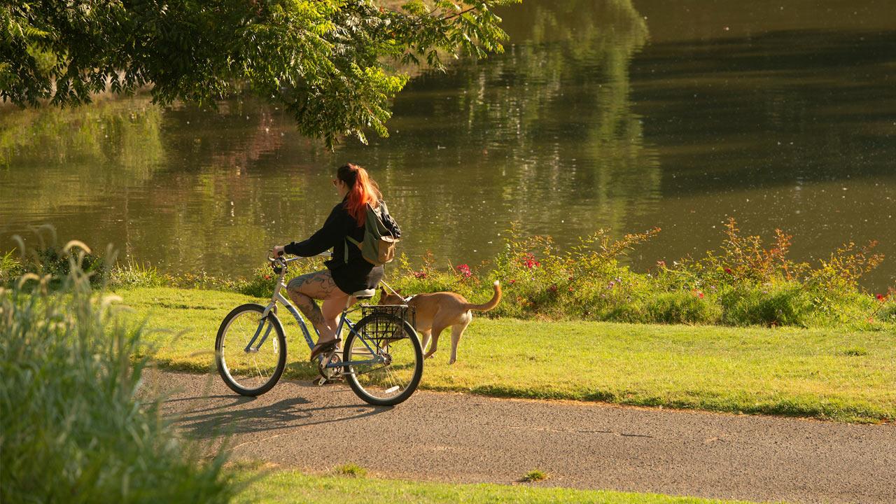 A student rides her bike through the ֱ Arboretum while her dog jogs alongside.