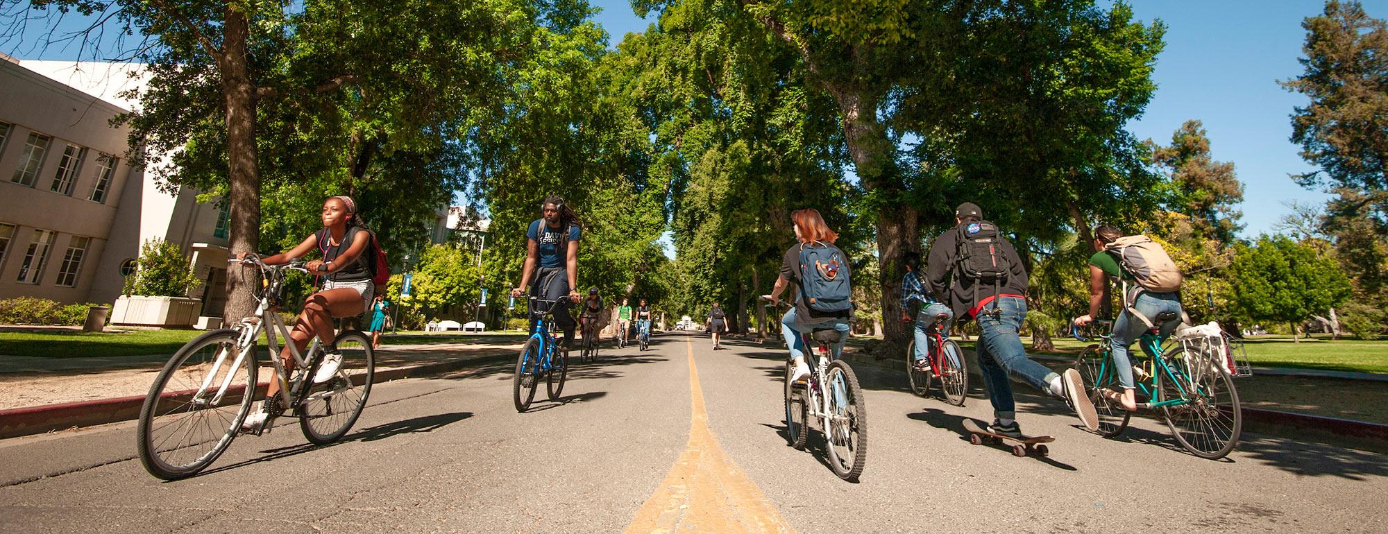 Students riding bicycles on west quad ֱ